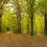 Herbststurm, unsensibel